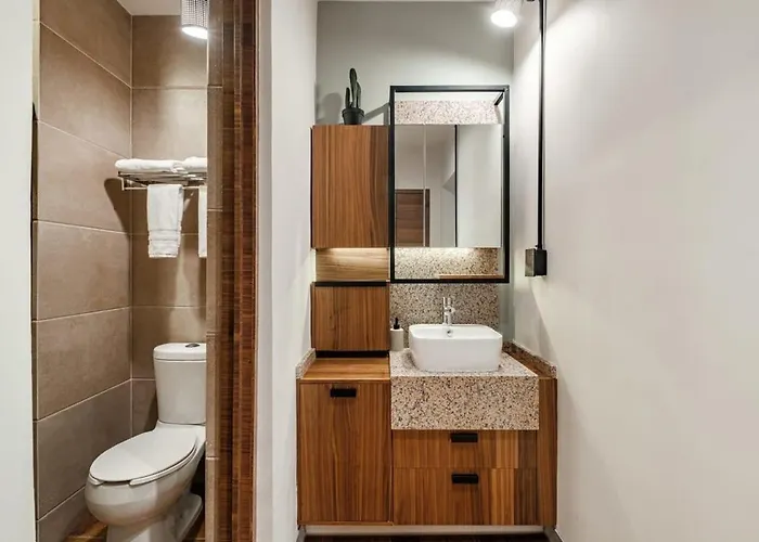 Sin 202 Apartment Mexico City